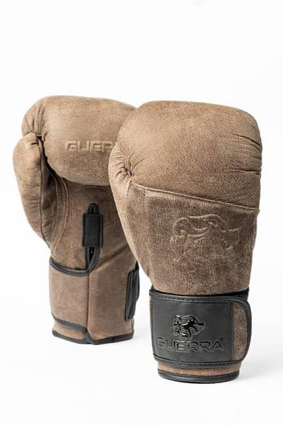 Premium Boxing Gloves