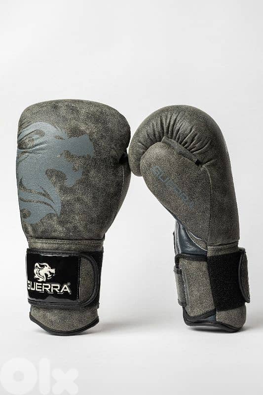 Premium Boxing Gloves 1