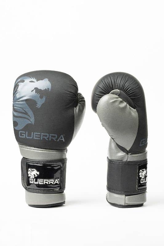 Premium Boxing Gloves 2