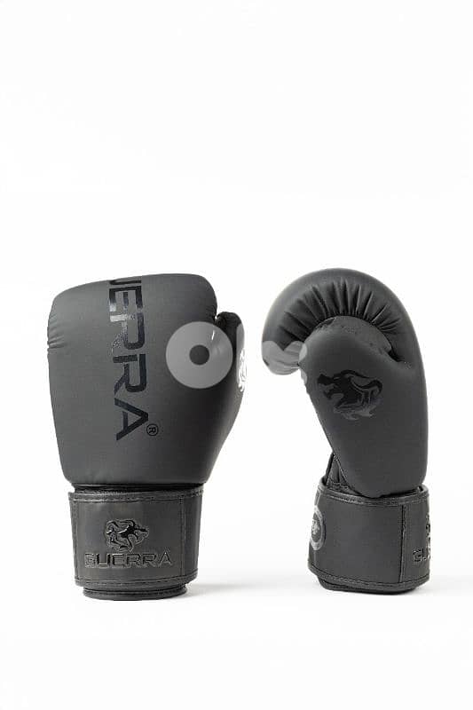 Premium Boxing Gloves 3