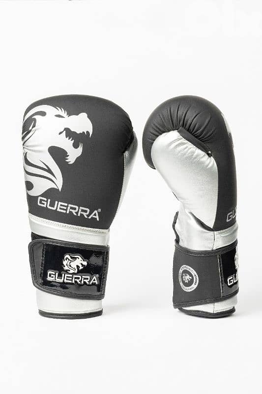 Premium Boxing Gloves 6
