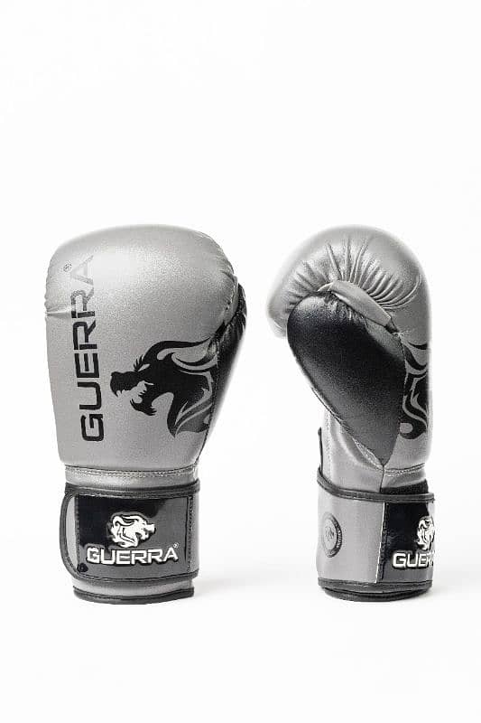 Premium Boxing Gloves 7