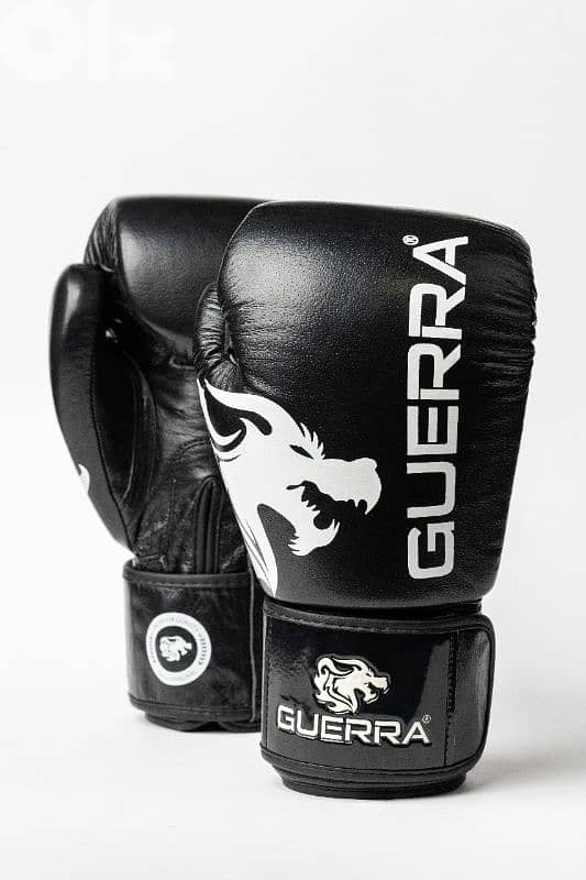 Premium Boxing Gloves 9
