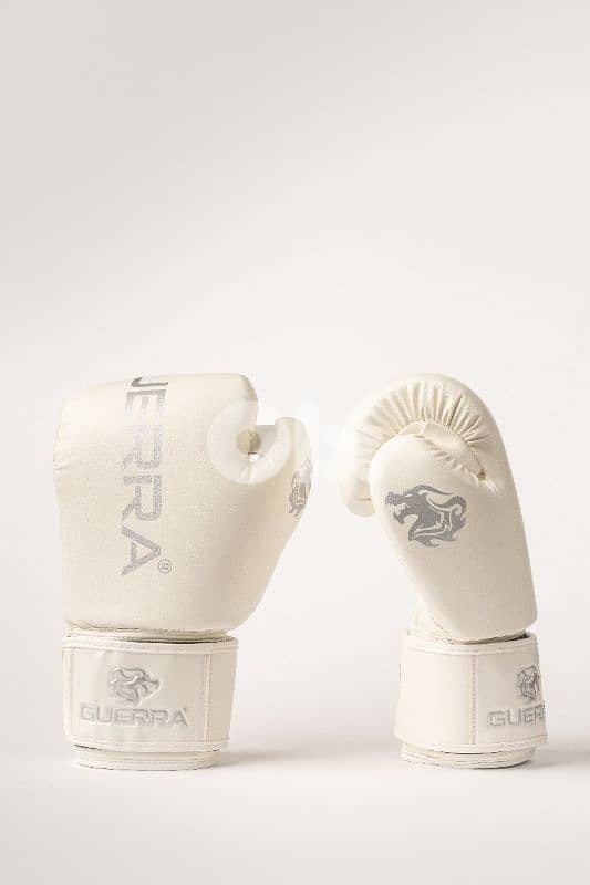 Premium Boxing Gloves 10