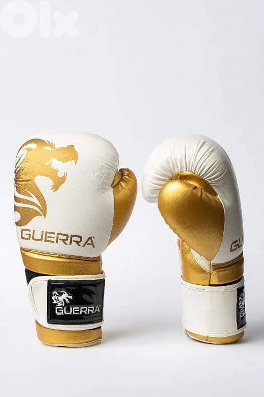 Premium Boxing Gloves 11