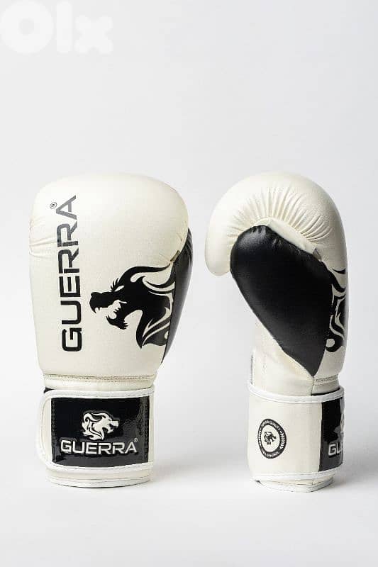 Premium Boxing Gloves 12