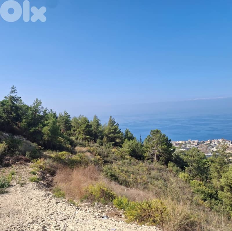 Land For Sale In Al Maaysra Kesrouan أرض للبيع في المعيصرة كسروان 1