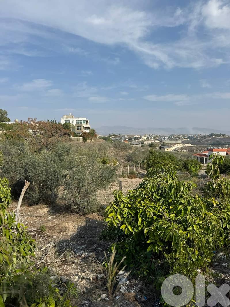 عقار مميز للبيع الغسانية قضاء صيدا- Special Land for Sale Ghassanieh 0