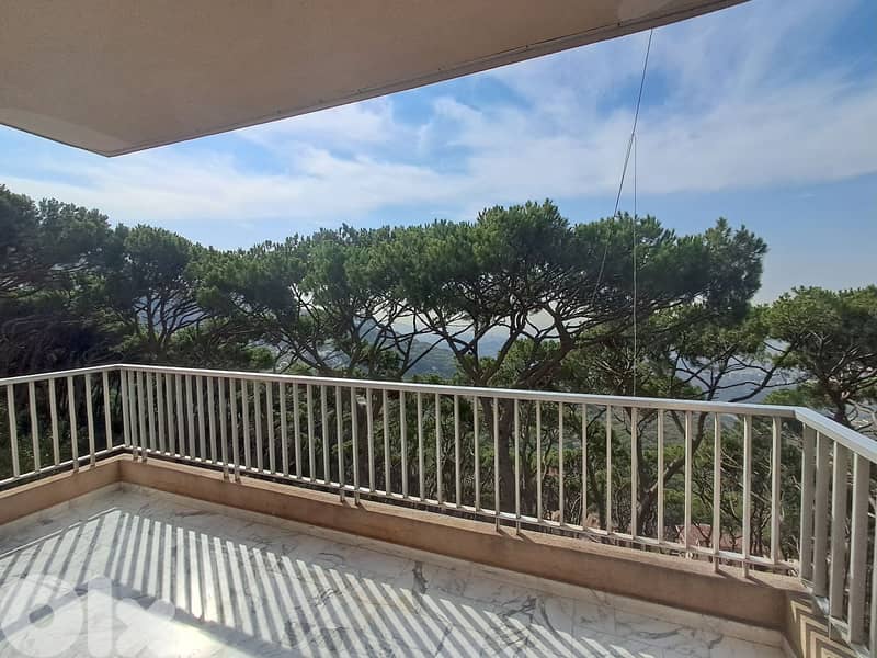 Apartment for Rent in Ain Saade 0