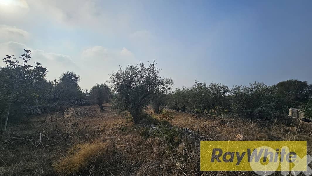RWB502EA - Land for sale in Monsef Jbeil 0