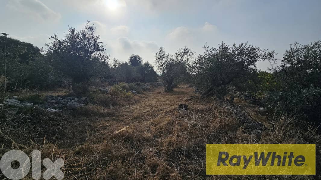 RWB502EA - Land for sale in Monsef Jbeil 1
