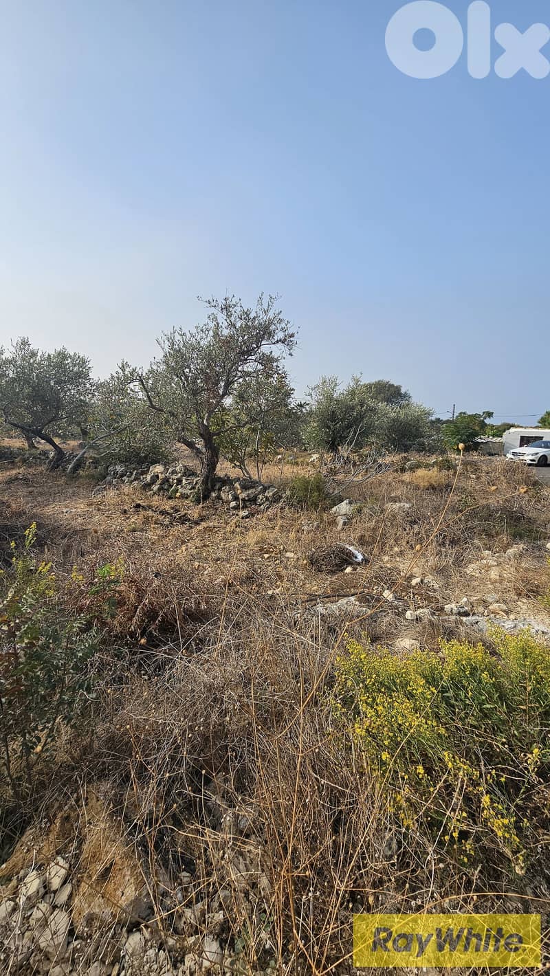 RWB502EA - Land for sale in Monsef Jbeil 2