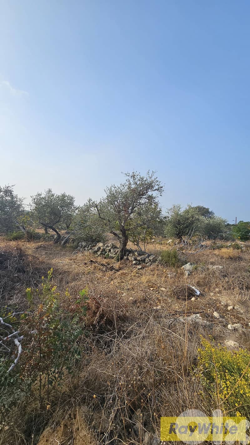 RWB502EA - Land for sale in Monsef Jbeil 3
