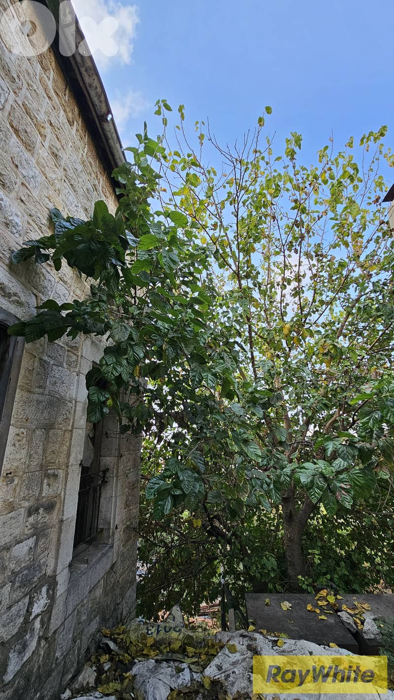 RWB503EA - Land with stand alone house for sale in Ghazir 5