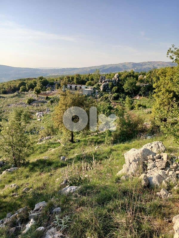 Land for sale in sefayleh baabdat 0