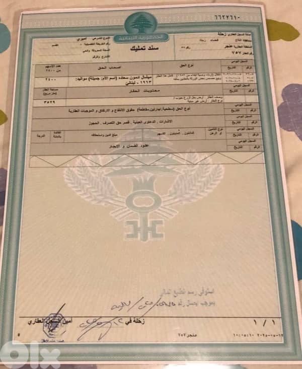 Anjar agricultural plot for sale 1