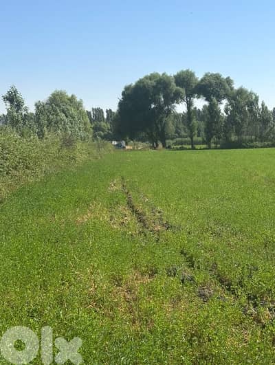 Anjar agricultural plot for sale