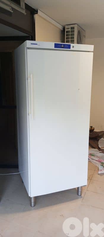 حمانا بمريم