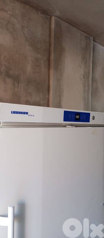 حمانا بمريم 2