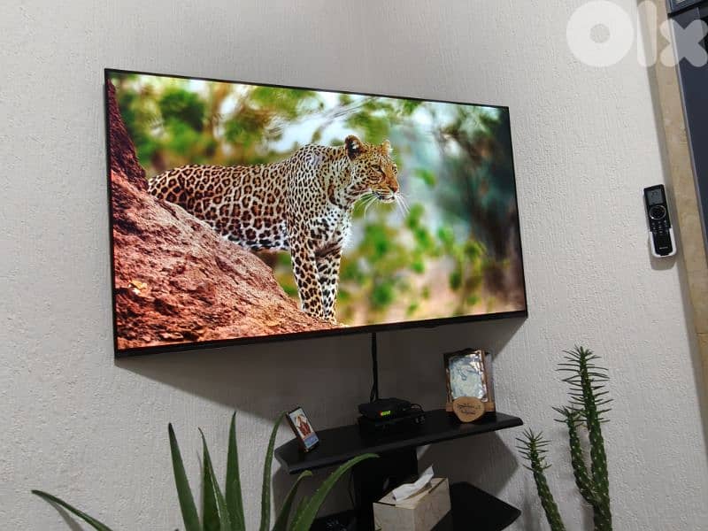 Sony Bravia XR OLED 55 inch 5