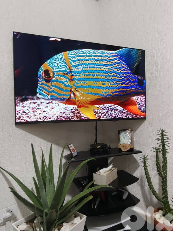 Sony Bravia XR OLED 55 inch 6