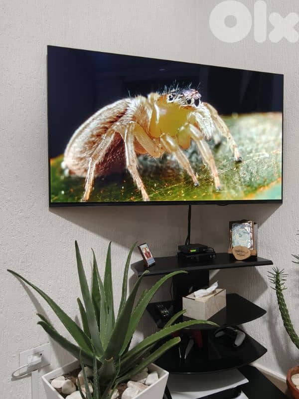 Sony Bravia XR OLED 55 inch 7