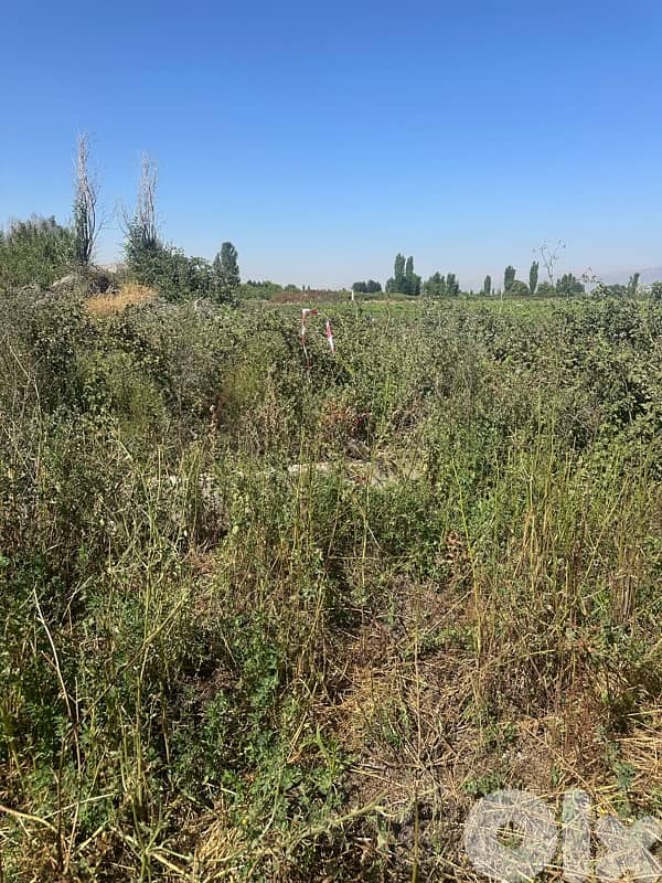 Anjar agricultural plot for sale 3