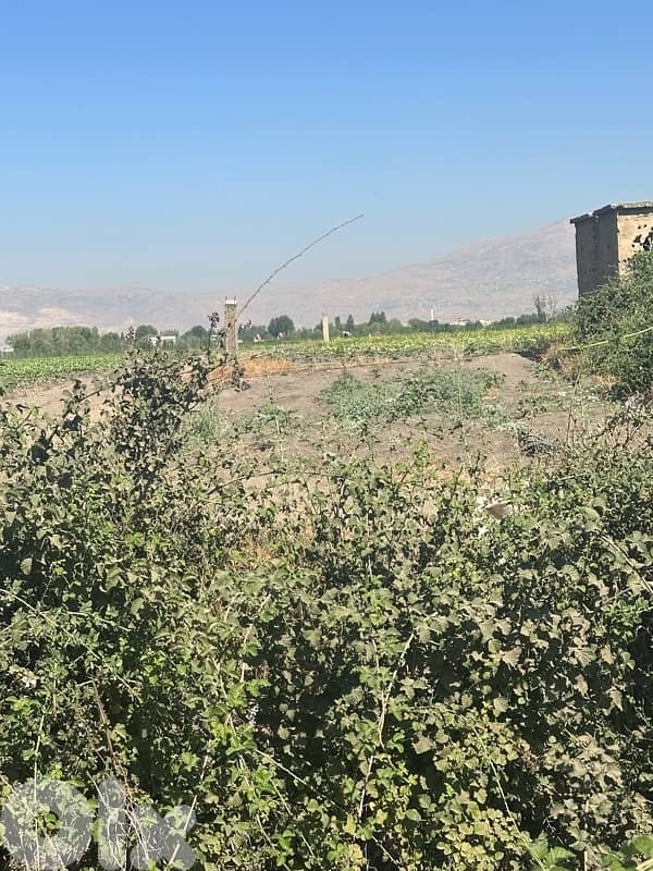 Anjar agricultural plot for sale 4