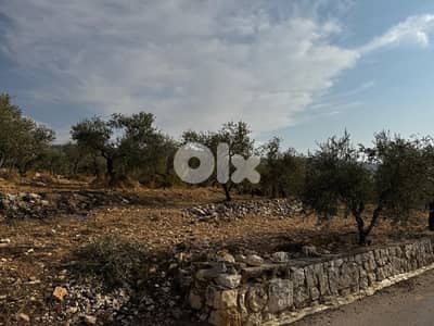 ارض للبيع في منطقه الكوره بزيزا