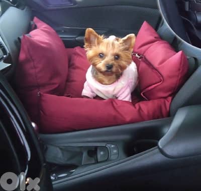 pet Bed, carrier and safe car seat at the same time