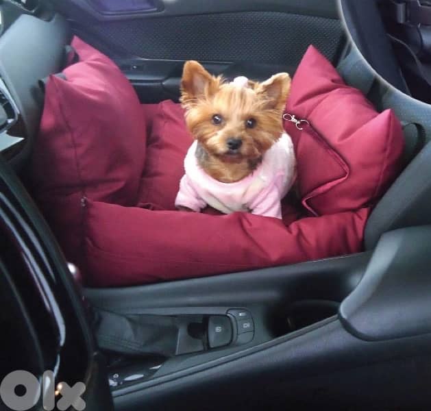 pet Bed, carrier and safe car seat at the same time 0