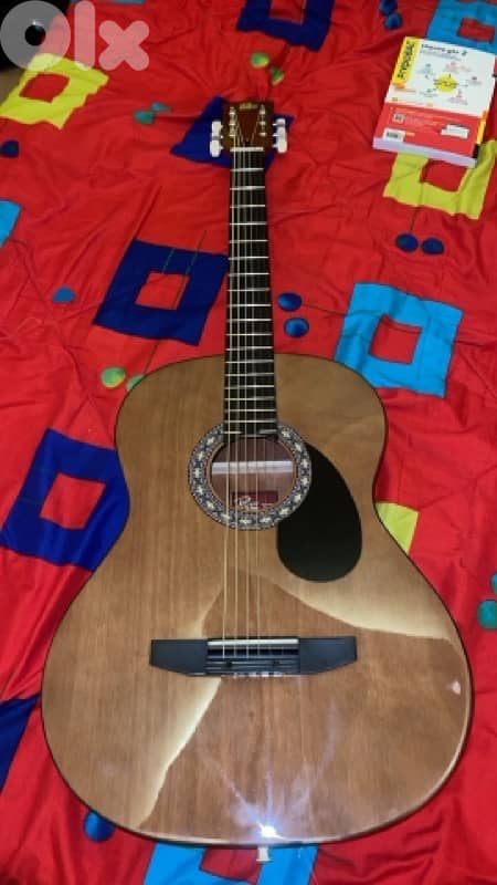 rogue acoustic guitar 0