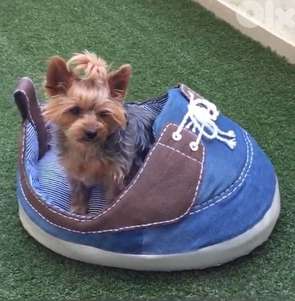 pet dog cat bed, snickers shape 1