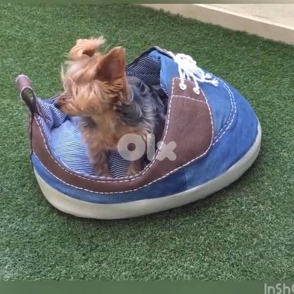 pet dog cat bed, snickers shape 2