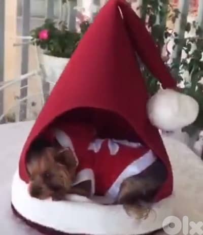 pet Christmas bed, Santa’s hat