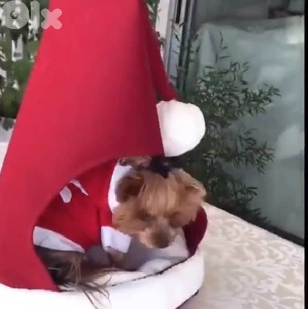 pet dog cat Christmas bed, Santa’s hat 1
