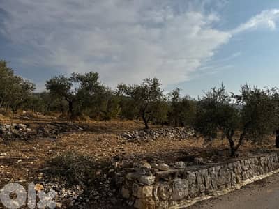 ارض للبيع في منطقه الكوره بزيزا