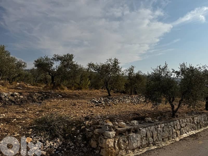 ارض للبيع في منطقه الكوره بزيزا 0