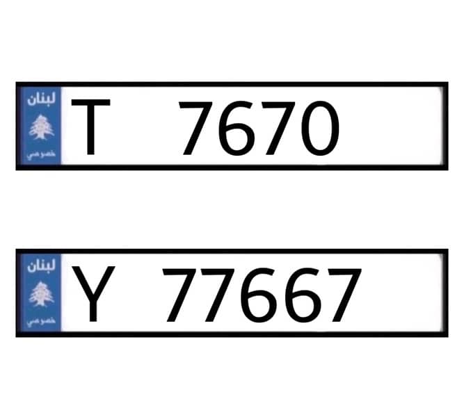 T   7670   &   Y   77667 0