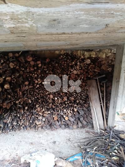 Woodfire for sale  Bois de chêne Pour Cheminée à vendre Oak Wood for F