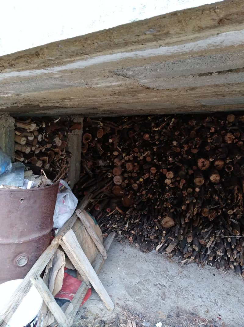 Woodfire for sale  Bois de chêne Pour Cheminée à vendre Oak Wood for F 1