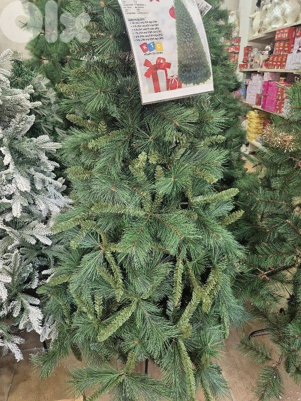 تشكيلة واسعه من شجر الميلاد 3