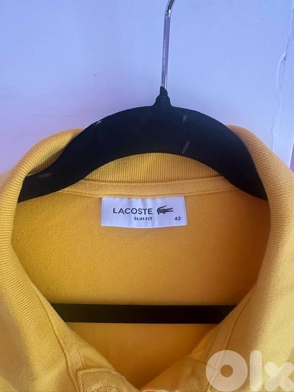 Lacoste polo 1