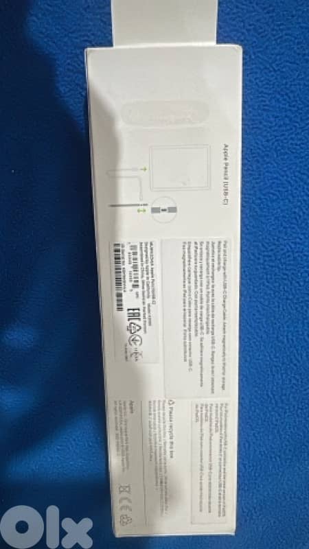 APPLE PENCIL (USB-C) 2