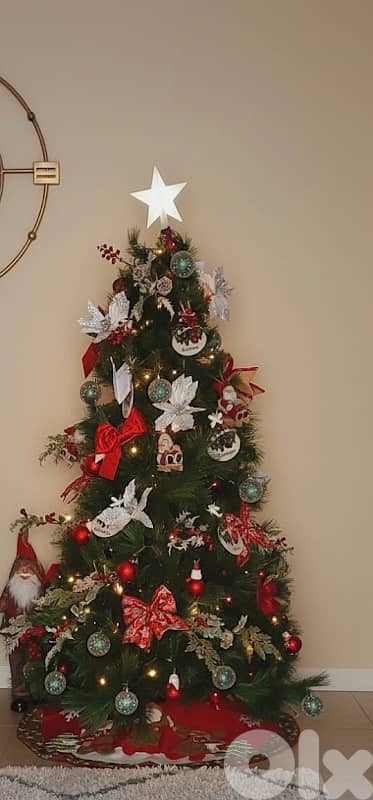 Christmas tree with its decoration