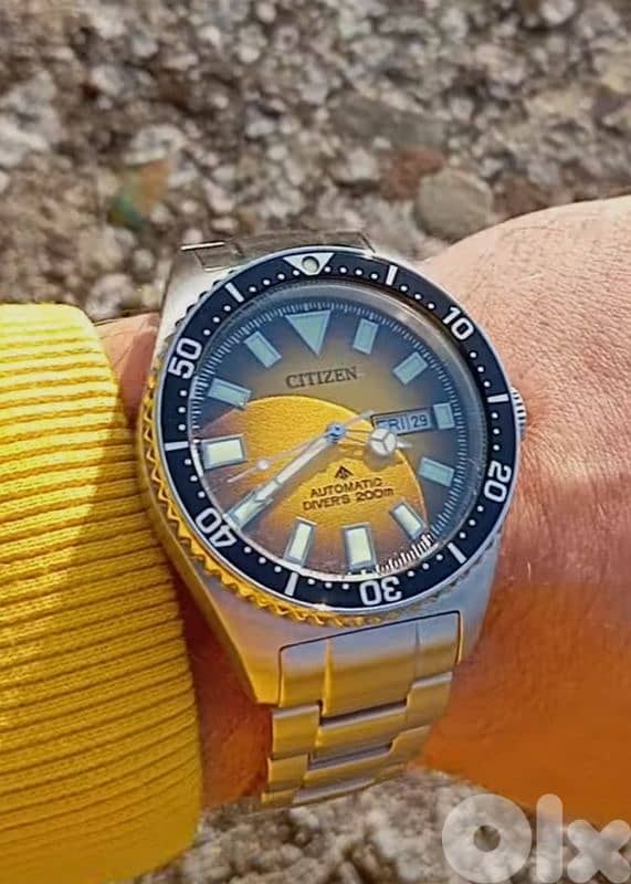 Citizen Promaster Automatic Watch 41mm 0