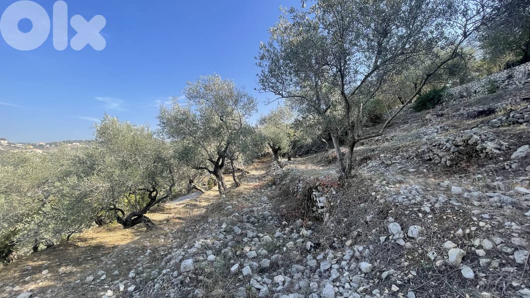 RWB319CA - Land for sale in Chamat Jbeil 1