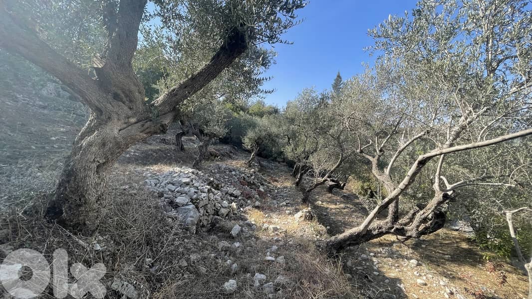 RWB319CA - Land for sale in Chamat Jbeil 3