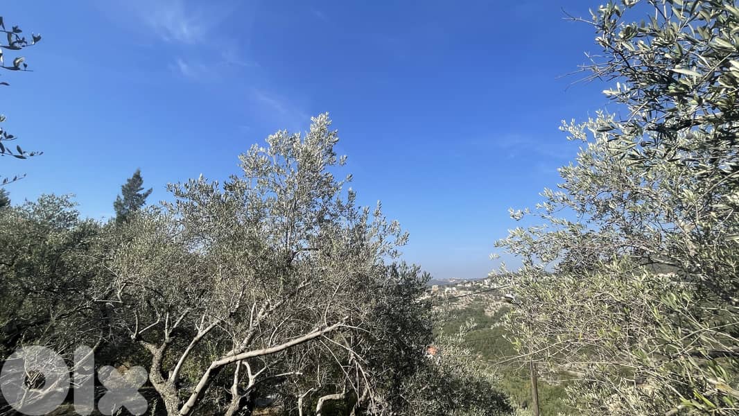 RWB319CA - Land for sale in Chamat Jbeil 4