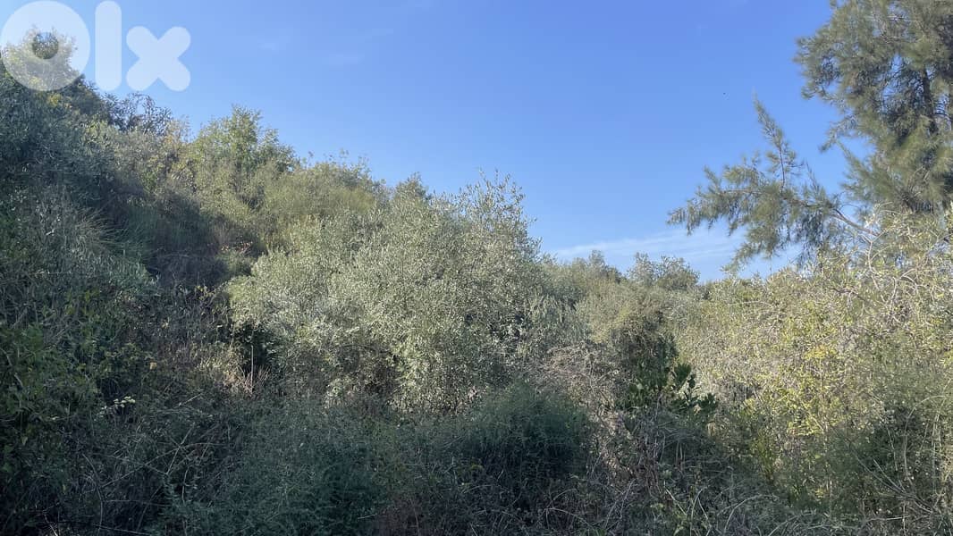 RWB319CA - Land for sale in Chamat Jbeil 5